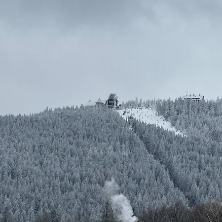 Polna 23 32 * Świeradów-Zdrój