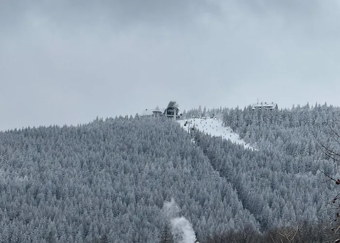 Polna 23 32 * Świeradów-Zdrój